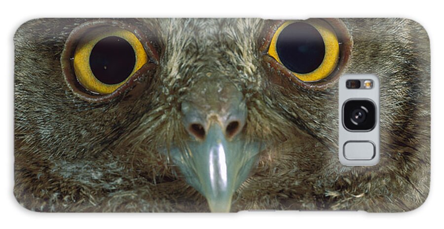 00760060 Galaxy Case featuring the photograph Western Screech Owl Otus Kennicottii by Christian Ziegler