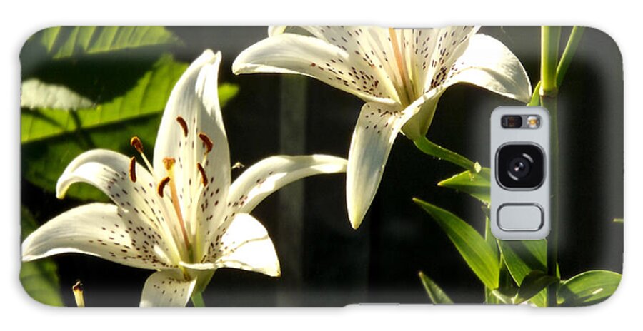 Nature Galaxy Case featuring the photograph White Lillies by Diane Ellingham