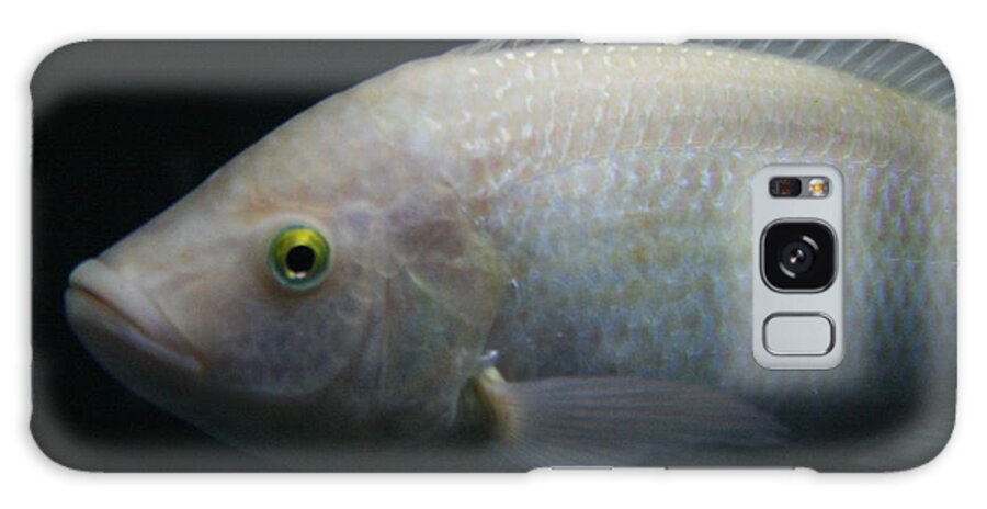 Jennifer Bright Art Galaxy Case featuring the photograph White Tilapia with Yellow Eyes by Jennifer Bright Burr