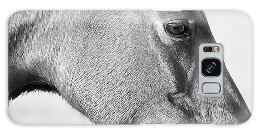 Wild Galaxy S8 Case featuring the photograph Wild Horse Intimate by Bob Decker