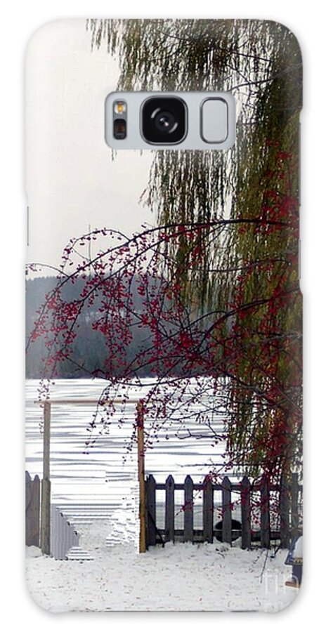 Winter Galaxy S8 Case featuring the photograph Willows and Berries in Winter by Desiree Paquette