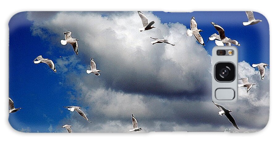Vickiferrari Galaxy Case featuring the photograph Wind Sailing Seagulls by Vicki Ferrari