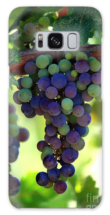 Grapes Galaxy Case featuring the photograph Wine to Be by Patrick Witz