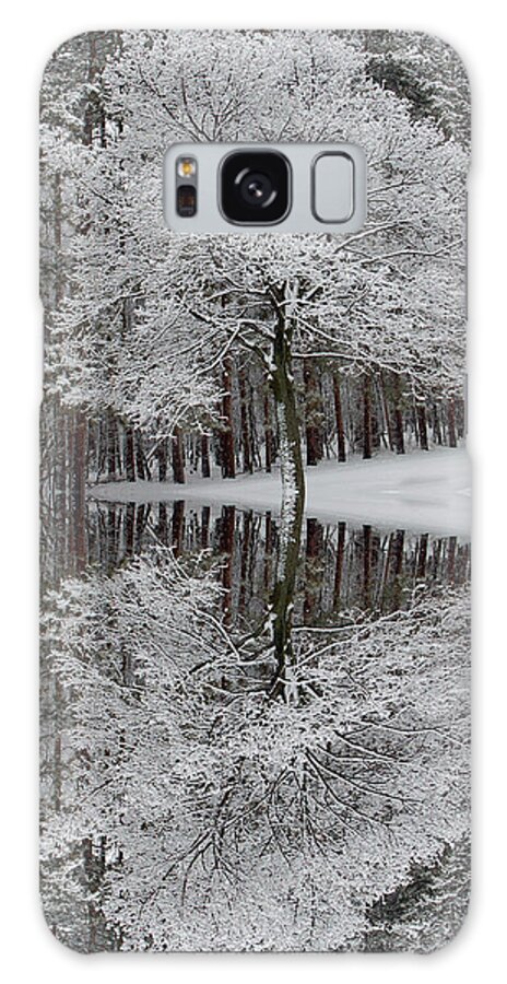 Winter Landscape Galaxy Case featuring the photograph Winter Reflection by Aimee L Maher ALM GALLERY