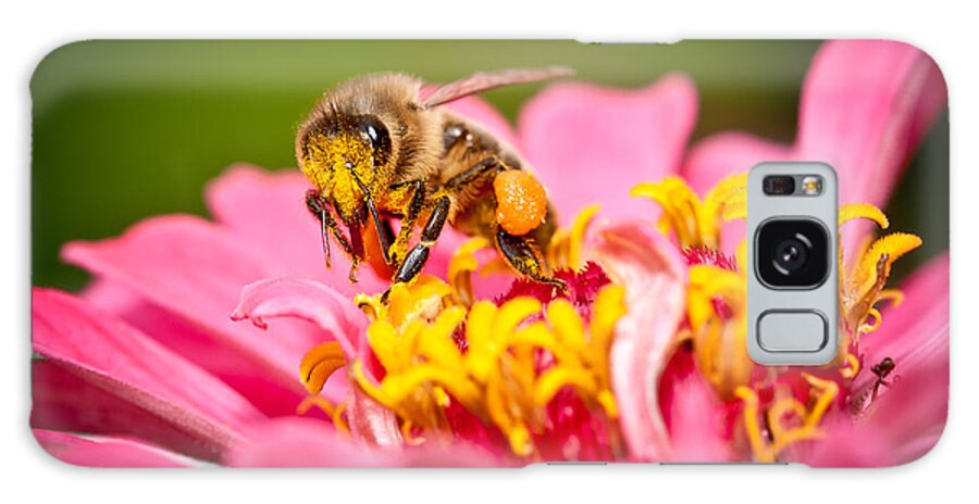 Honey Galaxy Case featuring the photograph Worker Bee by Keith Allen
