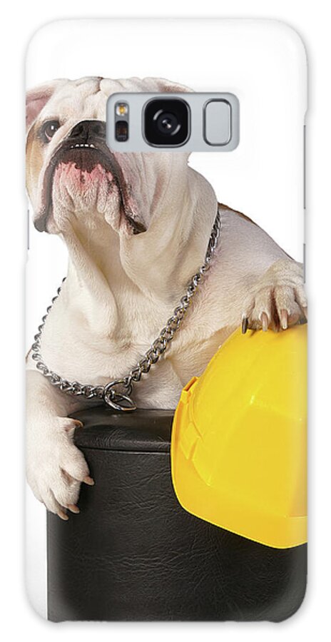 Dog Galaxy Case featuring the photograph Working Like a Dog by Erik Tanghe
