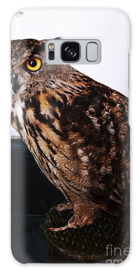 Buho Galaxy Case featuring the photograph Yellow-eyed owl side by Agusti Pardo Rossello