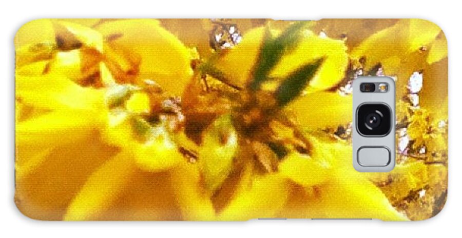 Beautiful Galaxy Case featuring the photograph #yellow #flowers #weed #nature by Amber Campanaro