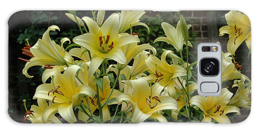 Spring Galaxy Case featuring the photograph Yellow Oriental Stargazer Lilies by Tom Wurl