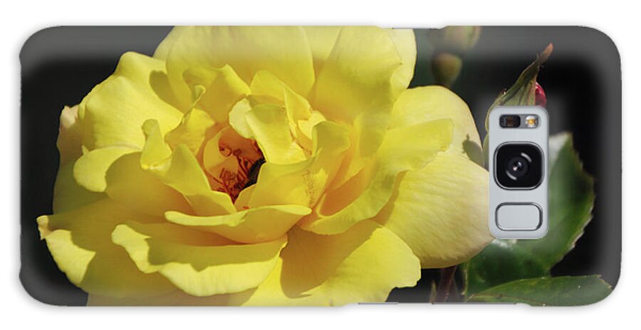 Yellow Galaxy Case featuring the photograph Yellow Rose by Ronald Grogan