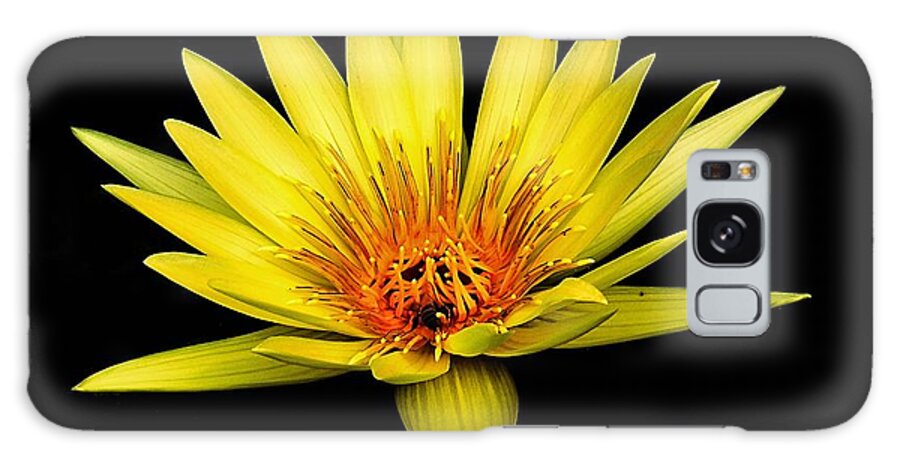 Aquatic Galaxy Case featuring the photograph Yellow Water Lily by Nick Zelinsky Jr