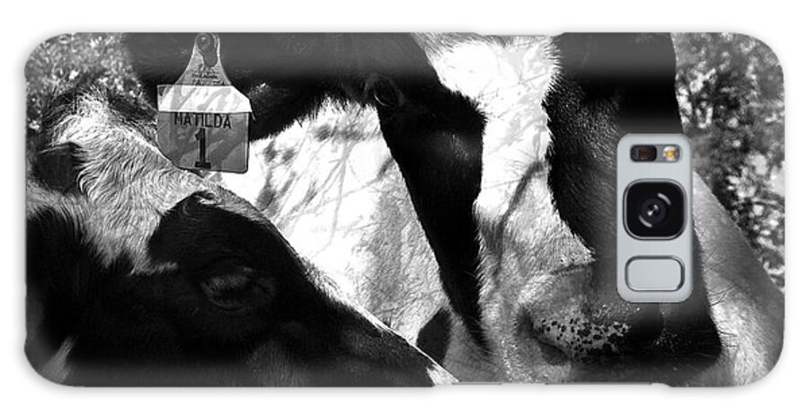 Agriculture Greeting Cards Galaxy Case featuring the photograph Zoey Plays with Matilda by Danielle Summa