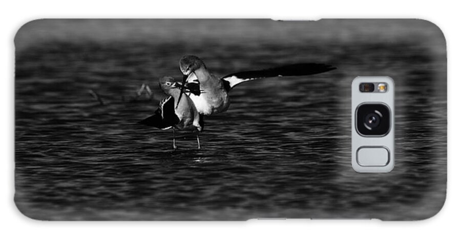 Birds Galaxy Case featuring the photograph American Avocet Courtship Cross by John F Tsumas