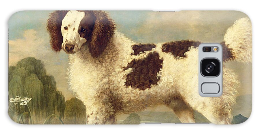 Brown Galaxy Case featuring the painting Brown and White Norfolk or Water Spaniel by George Stubbs