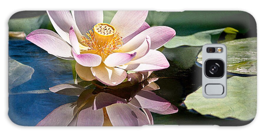 Lotus Galaxy Case featuring the photograph Casting A Beautiful Reflection by Jeff Abrahamson