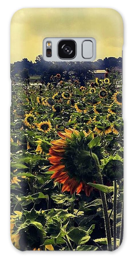Ourdailyearth Galaxy Case featuring the photograph 08-26-18
-
-
-
sanborn, New York by Mel Porter