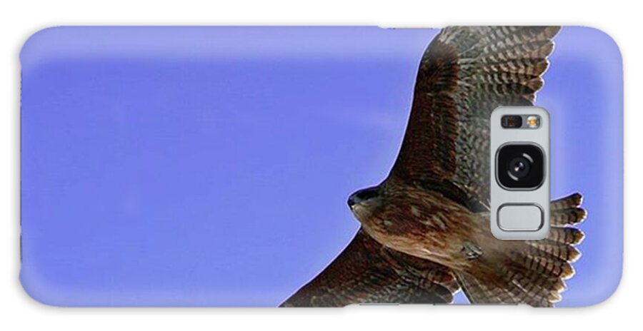 #housesparrow #sparrow #sparrows #bird #birdsofinstagram #birdphotography #warwickshire #nature #britishwildlife #ukwildlife #naturalworld #naturalphotography ＃japan Galaxy Case featuring the photograph #bird by Yoshitaka Hayashi