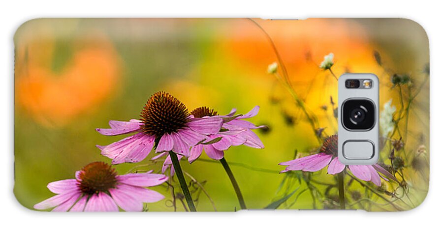 Cone Flower Galaxy Case featuring the photograph Coneflower Symphony by Mary Amerman