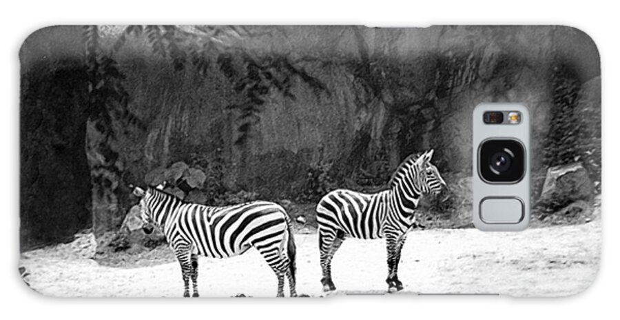 Black_ And_ White Galaxy Case featuring the photograph A Disagreement #2 by Gerlinde Keating