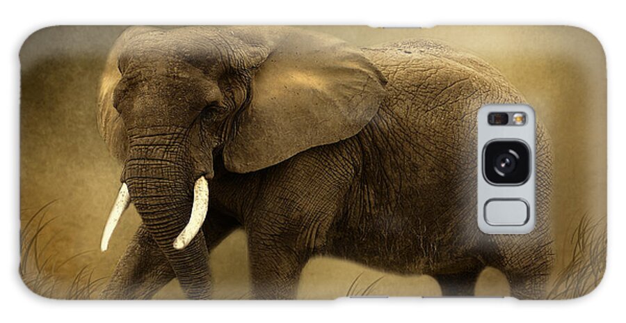 Elephant Galaxy Case featuring the photograph African Elephant #1 by TnBackroadsPhotos 