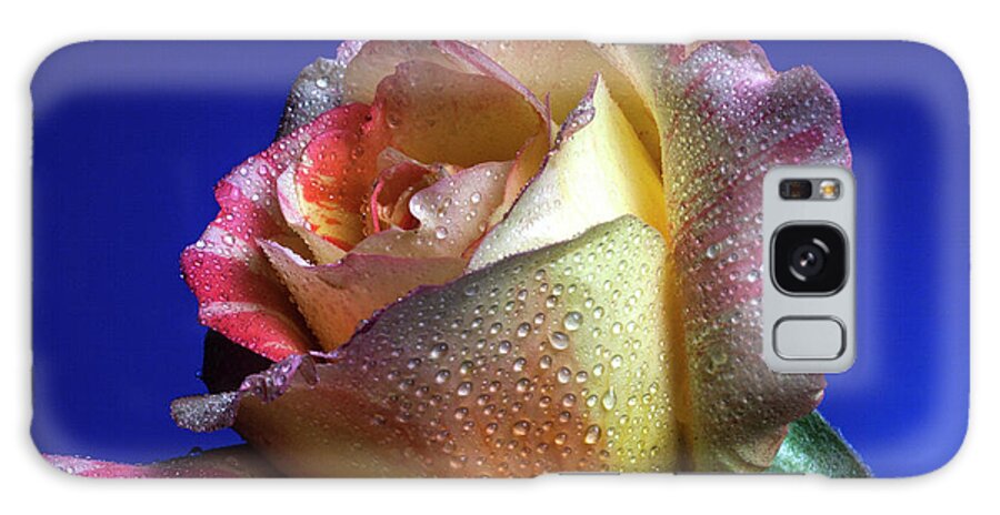 Rose Galaxy Case featuring the photograph Beaming #1 by Doug Norkum