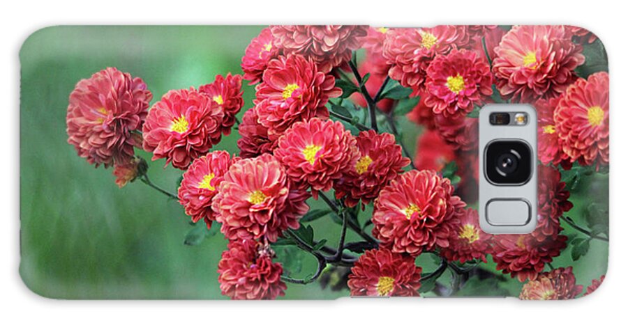 Mums Galaxy Case featuring the photograph Beautiful Red Mums by Trina Ansel