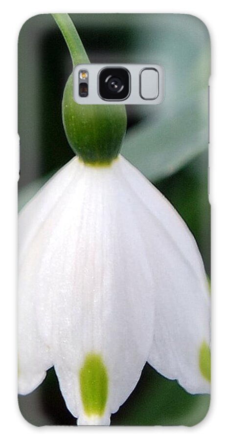 Bell Flower Galaxy Case featuring the photograph Bell Flower by Amy Fose