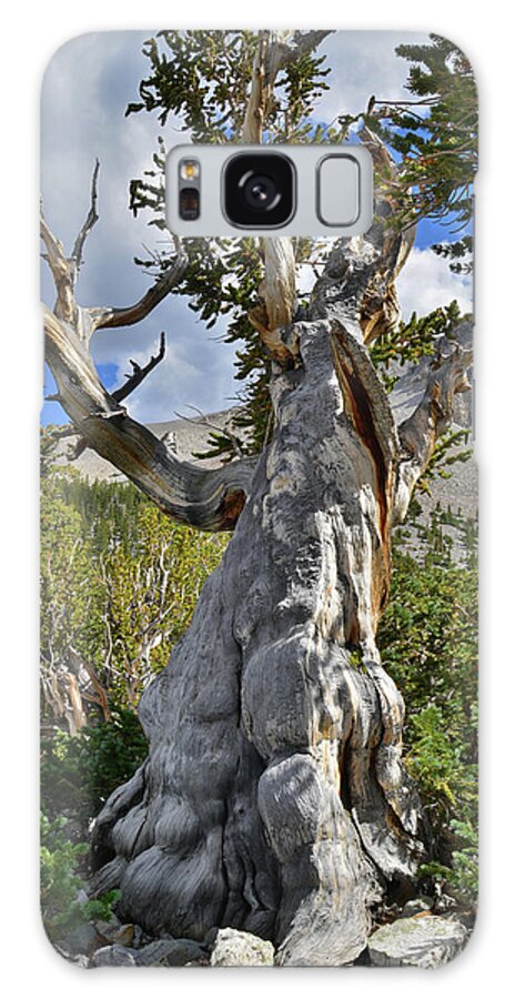 Great Basin National Park Galaxy Case featuring the photograph Big Fella #1 by Ray Mathis