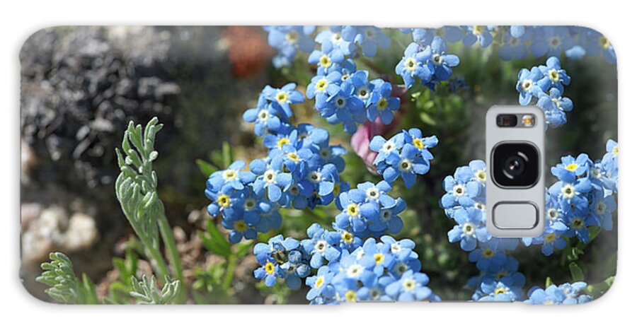 Flowers Galaxy Case featuring the photograph Blue in Green #1 by Ivan Franklin