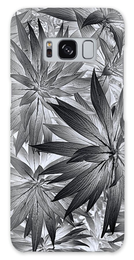 Plants Galaxy Case featuring the photograph Botanical #1 by Wayne Sherriff