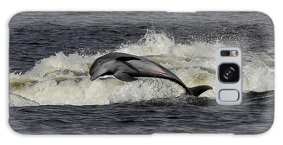 Bottlenose Dolphin Galaxy Case featuring the photograph Bottlenose Dolphin #2 by Meg Rousher