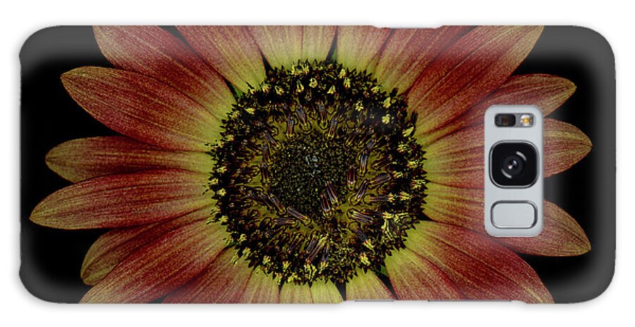 Black Galaxy Case featuring the photograph Brown Sunflower #1 by Oscar Gutierrez