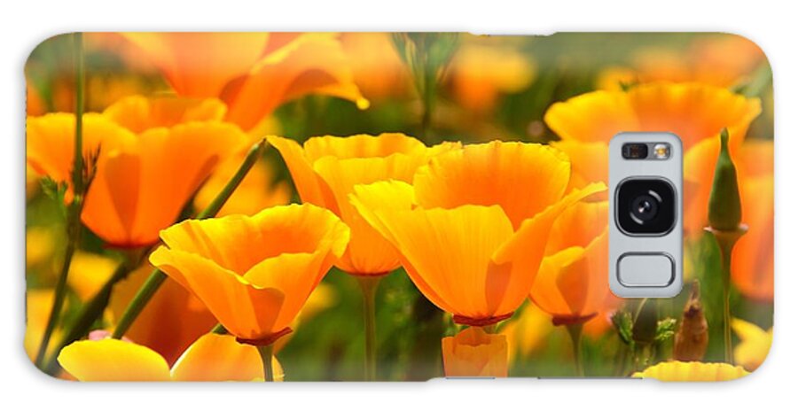 California Poppies Galaxy Case featuring the photograph California Poppies #1 by Patrick Witz