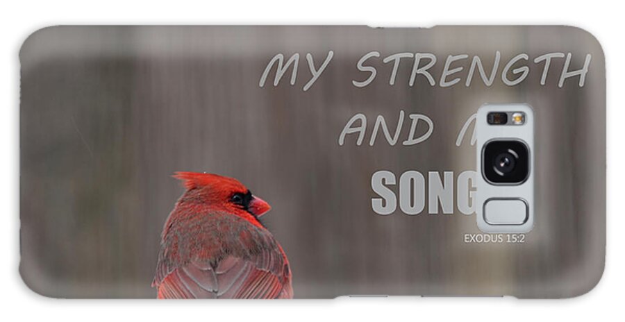 Northern Cardinal Galaxy Case featuring the photograph Cardinal In The Snowstorm With Scripture by Sandi OReilly