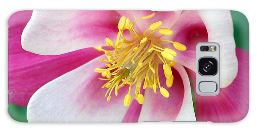 Columbine Galaxy Case featuring the photograph Columbine Flower 1 by Amy Fose