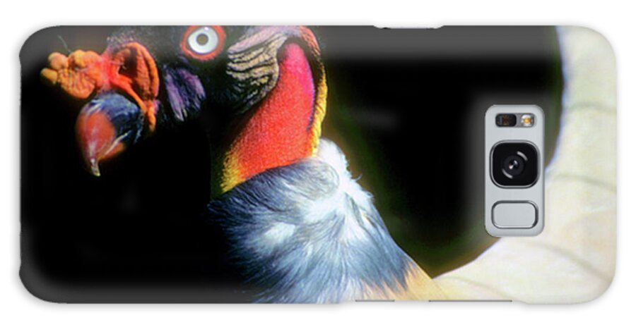 Bird Galaxy Case featuring the photograph Condor #1 by Mark Gilman