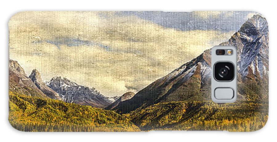 Mountains Galaxy Case featuring the photograph Dan Creek Alaska by Fred Denner