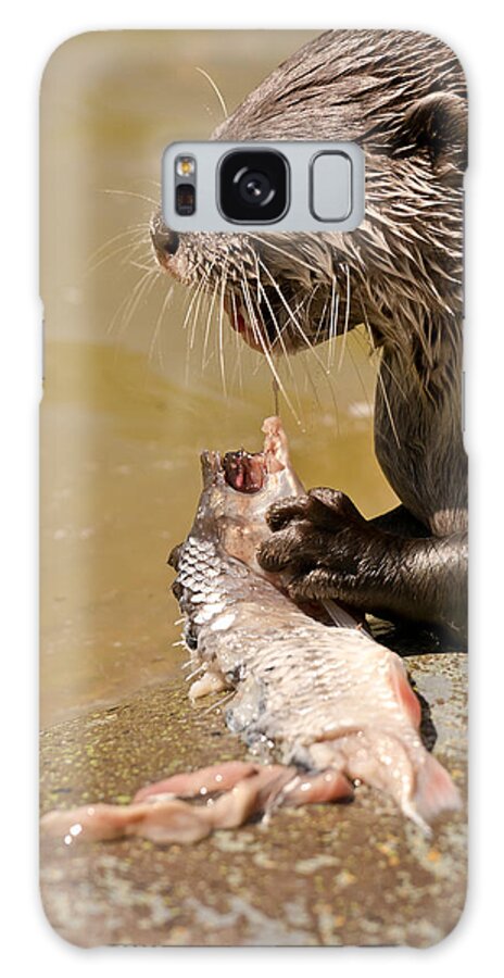 Otter Galaxy S8 Case featuring the photograph Dinner Time #1 by Scott Carruthers