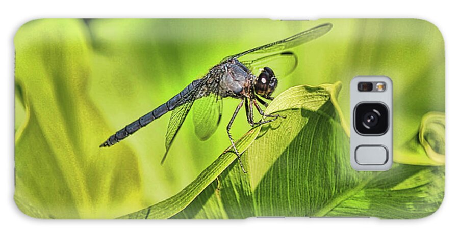 Dragon Fly Galaxy Case featuring the photograph Dragonfly #2 by Pat Cook
