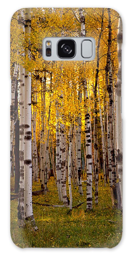 Aspens Galaxy Case featuring the photograph Fall at Snowbowl #1 by Tom Kelly