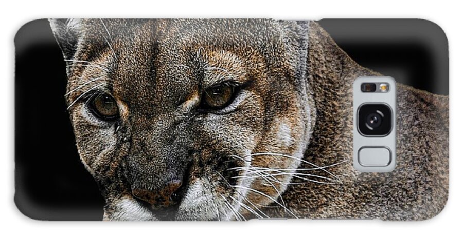 Panther Galaxy S8 Case featuring the photograph Florida Panther #1 by Keith Lovejoy