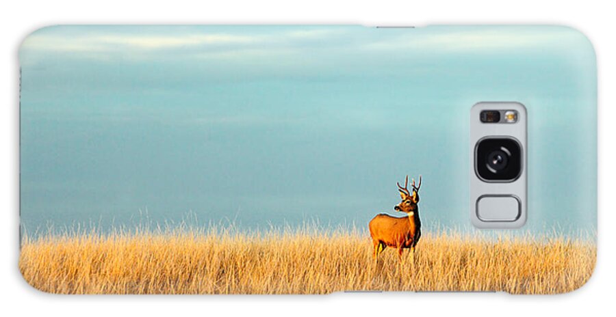 Deer Galaxy Case featuring the photograph Fort Peck Buck by Todd Klassy