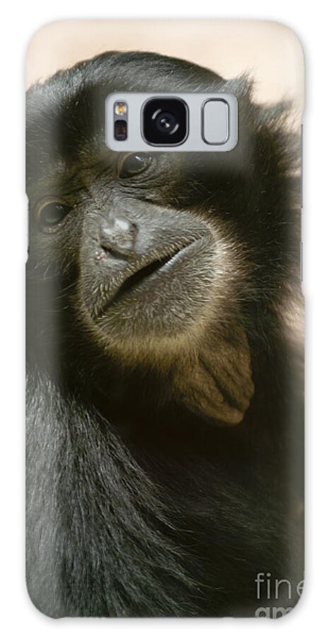Asia Galaxy S8 Case featuring the photograph Funky Gibbon #1 by Andrew Michael