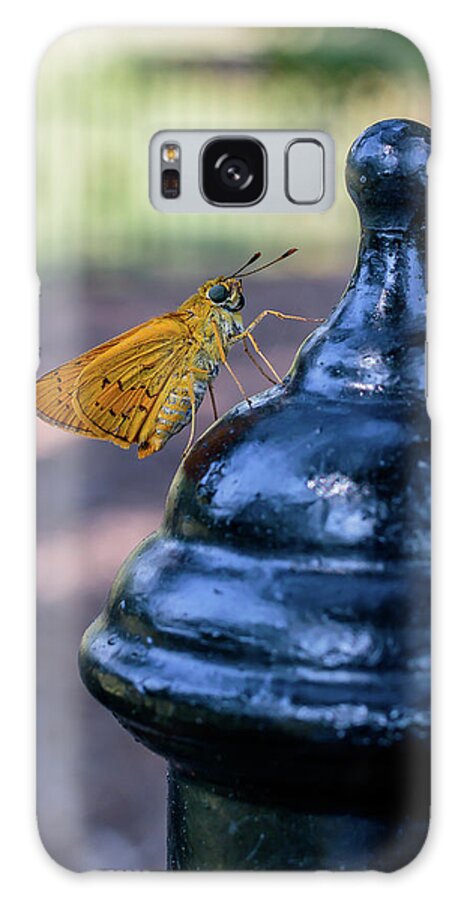 Botanic Garden Galaxy Case featuring the photograph Golden Moth #1 by Ray Shiu
