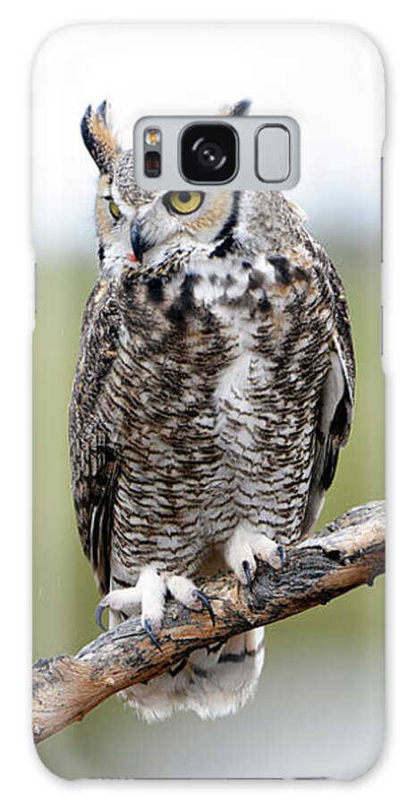 Denise Bruchman Galaxy Case featuring the photograph Great Horned Owl #2 by Denise Bruchman