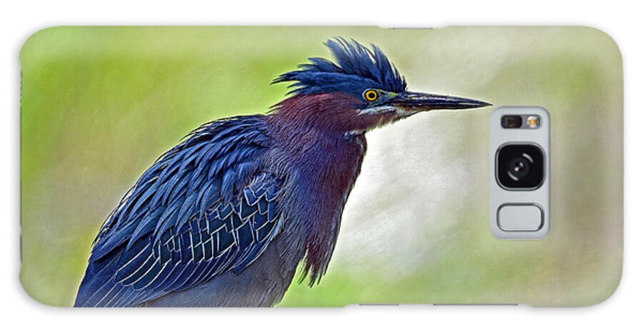 Green Heron Galaxy Case featuring the photograph Green Heron #1 by Rodney Campbell