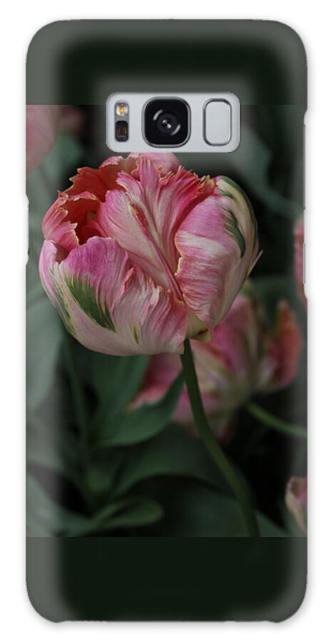 Tulip Galaxy Case featuring the photograph Green Wave Parrot Tulip by Tammy Pool