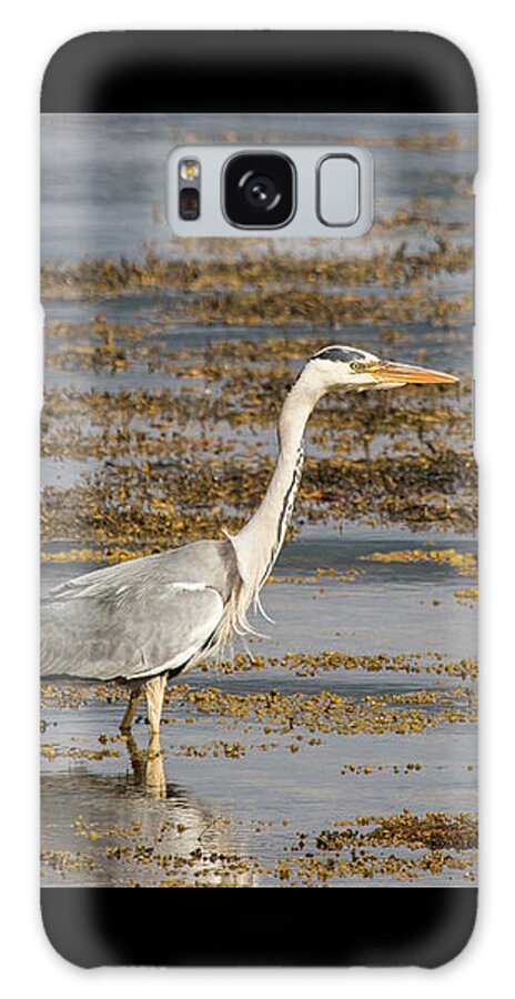 Nature Galaxy Case featuring the photograph Grey Heron #2 by Wendy Cooper