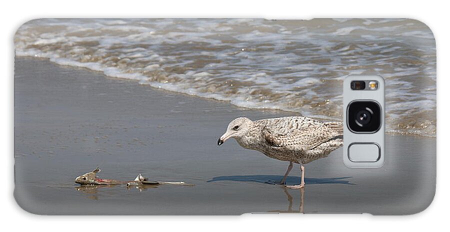 Sea Gull Galaxy S8 Case featuring the photograph Gull with Fish #1 by Christy Pooschke