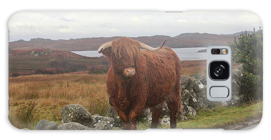 Highland Galaxy Case featuring the photograph Highland Cow #1 by David Grant
